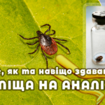 Здати кліща в Києві на бореліоз