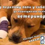 ТОксичний гепатит - лікування в Києві