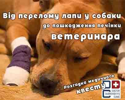 ТОксичний гепатит - лікування в Києві