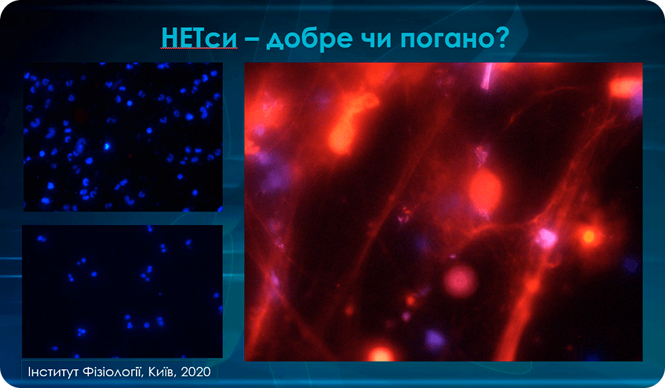 Дисертація - Дубровський Євген